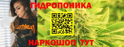 дмт Заволжье